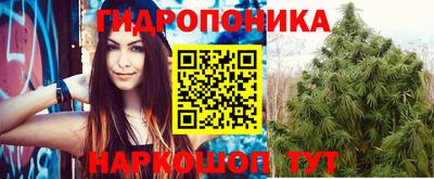 jwh Краснодар