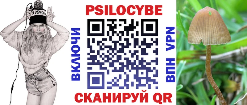 Галлюциногенные грибы Psilocybe  купить наркотик  Одинцово 