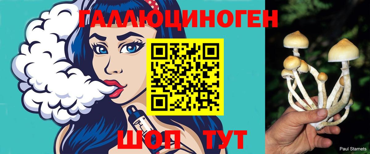 Одинцово  Псилоцибиновые грибы ЛСД  Вход с VPN 
